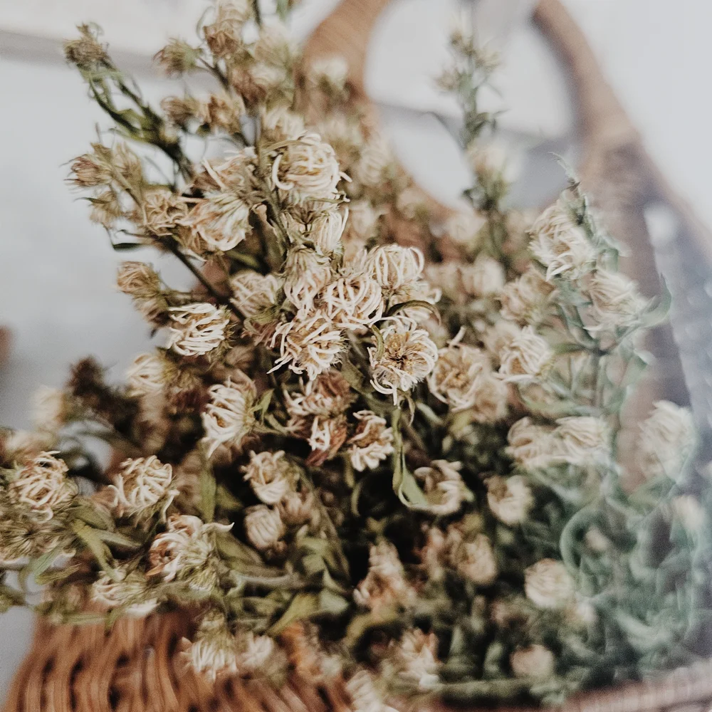 Handmade Bundle Of Naturally Dried Florals - Green, Brown & Cream - Picture 3 of 4